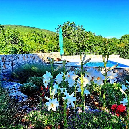 Relaxing Dalmatian House In Village Ljubitovica Экстерьер фото