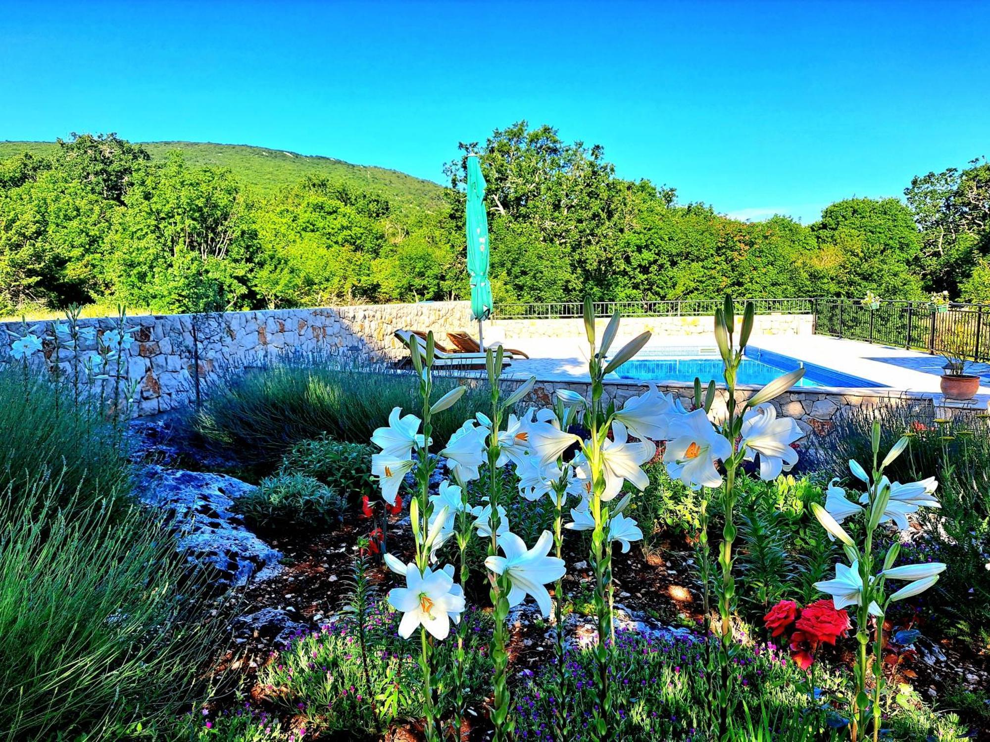 Relaxing Dalmatian House In Village Ljubitovica Экстерьер фото