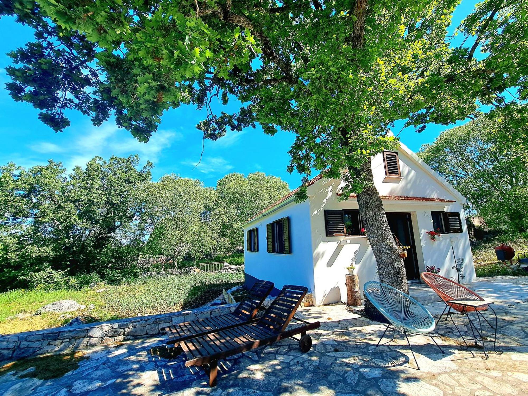 Relaxing Dalmatian House In Village Ljubitovica Экстерьер фото